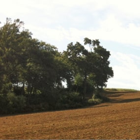 La Barbacane : exploitation agricole à Doazit dans les Landes (40)