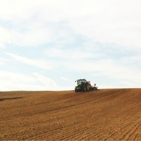 La Barbacane : exploitation agricole à Doazit dans les Landes (40)