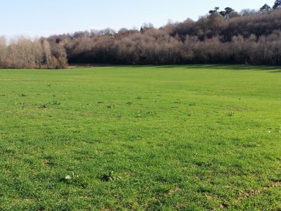 Zone d’activités agricoles Eyliot Caupos